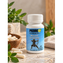 UMKHONTO
