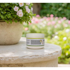 Active Skin Preventative Biome Cream 250g Active Skin Preventative Biome Cream 250g